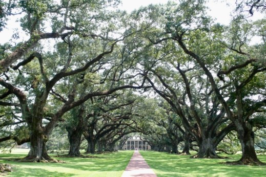 UNADJUSTEDNONRAW_thumb_8dd